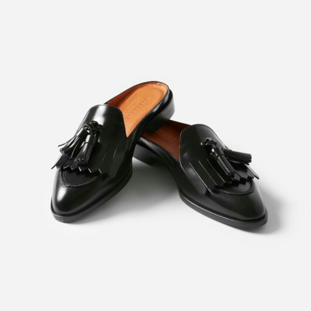 **ISO**Everlane Modern Tassel Loader Mule